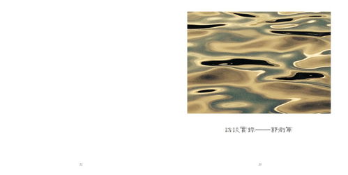 中央美術學院城市設計學院工藝美術與材料實施網絡教學成果展 電腦動畫設計篇